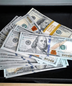 buy counterfeit banknotes online