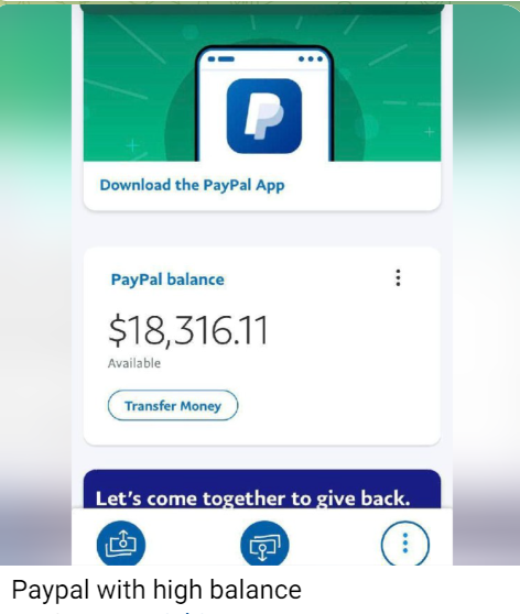 pl2 flip paypal for cash